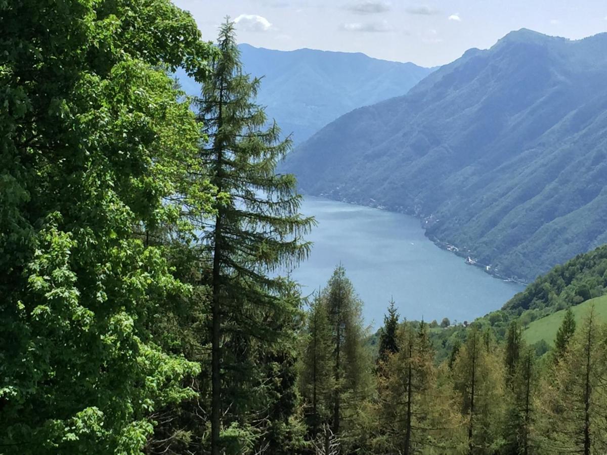 Lake View Apartments Аккуазериа Экстерьер фото