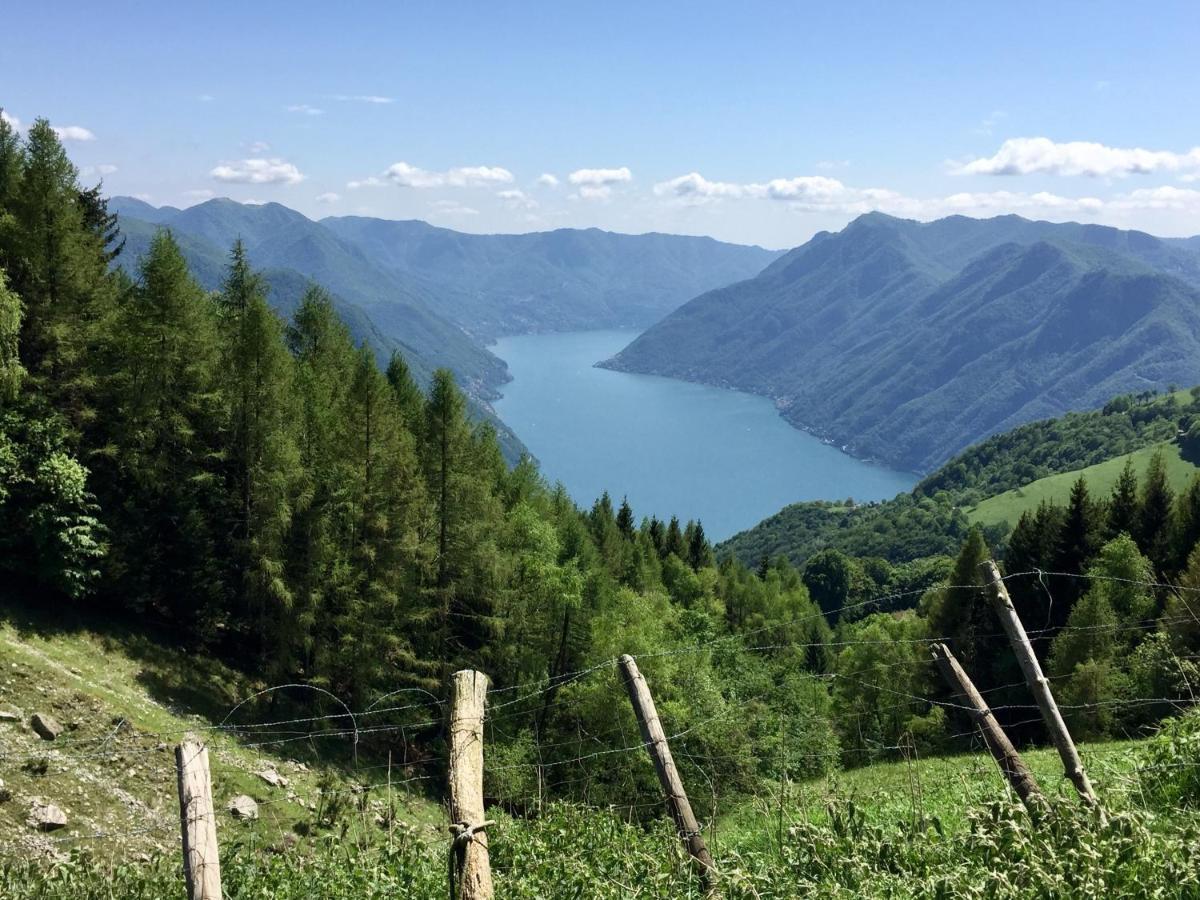 Lake View Apartments Аккуазериа Экстерьер фото